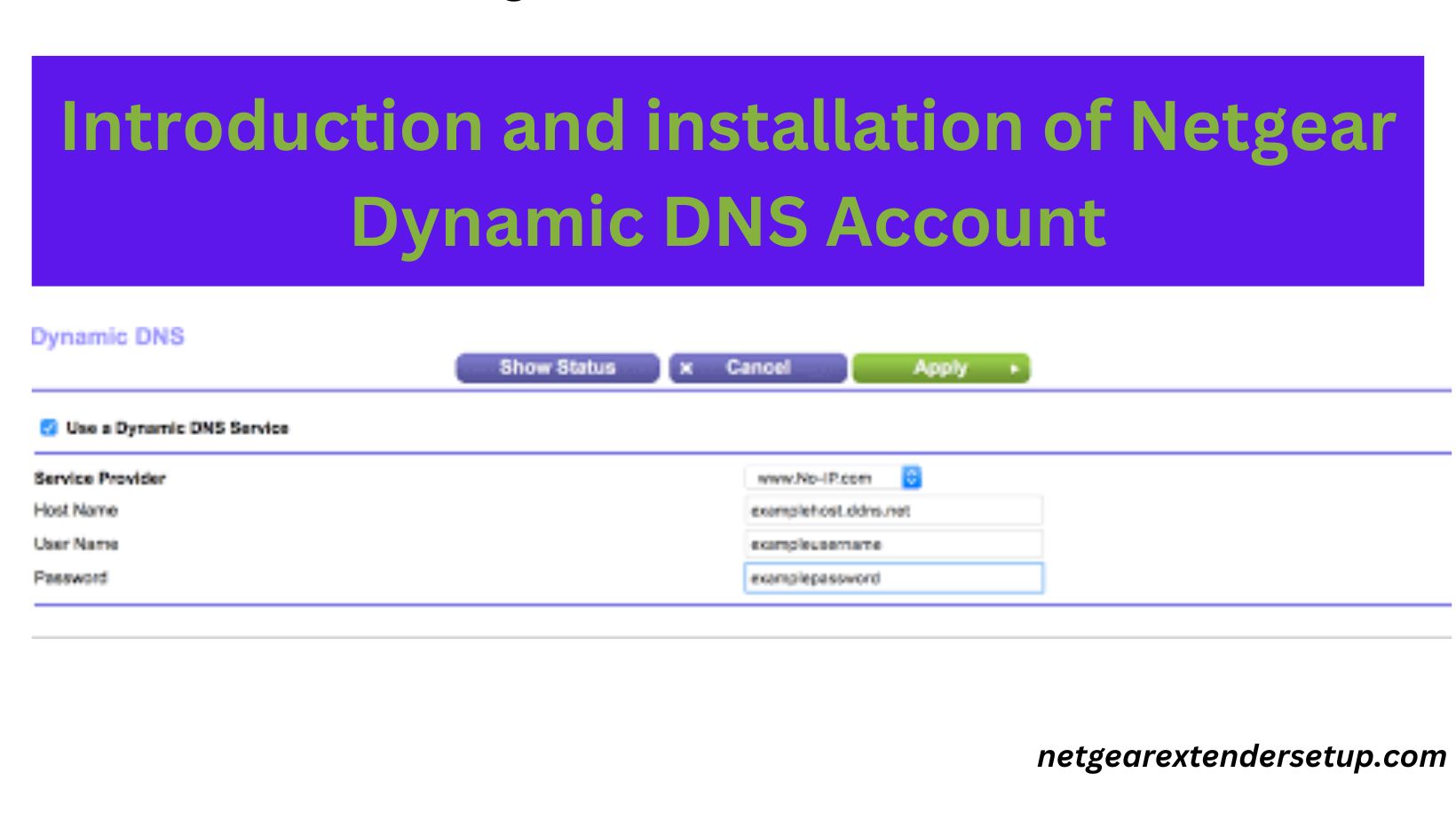 Read more about the article Introduction and installation of Netgear Dynamic DNS Account